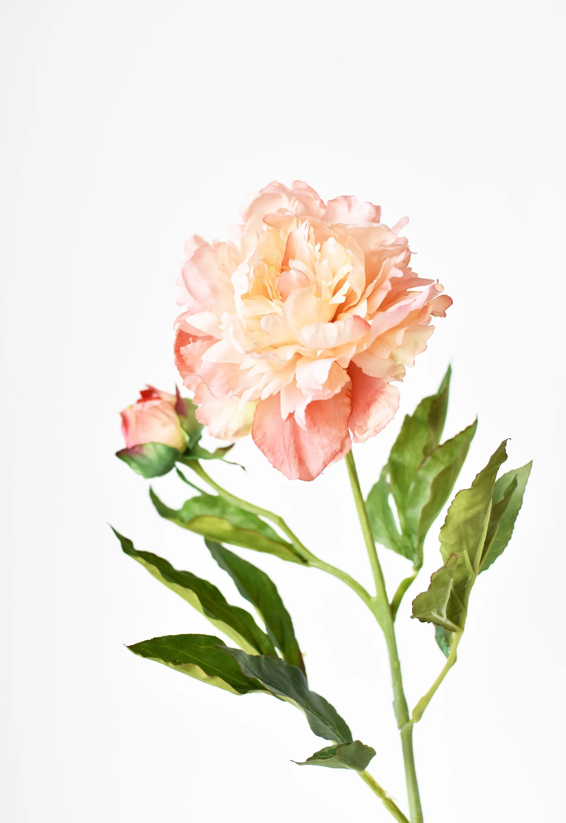 28" Faux Peach Peony Stem