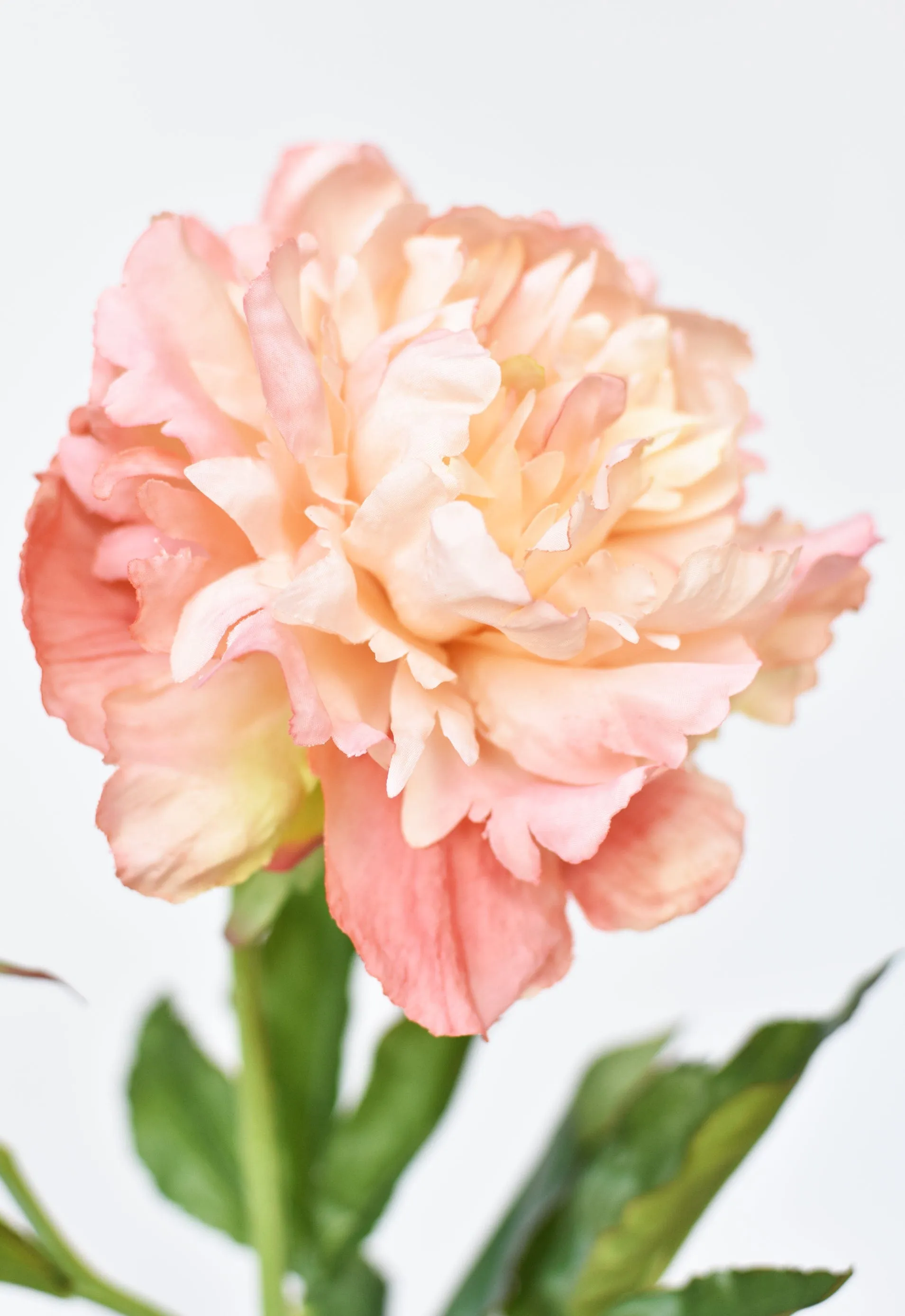 28" Faux Peach Peony Stem