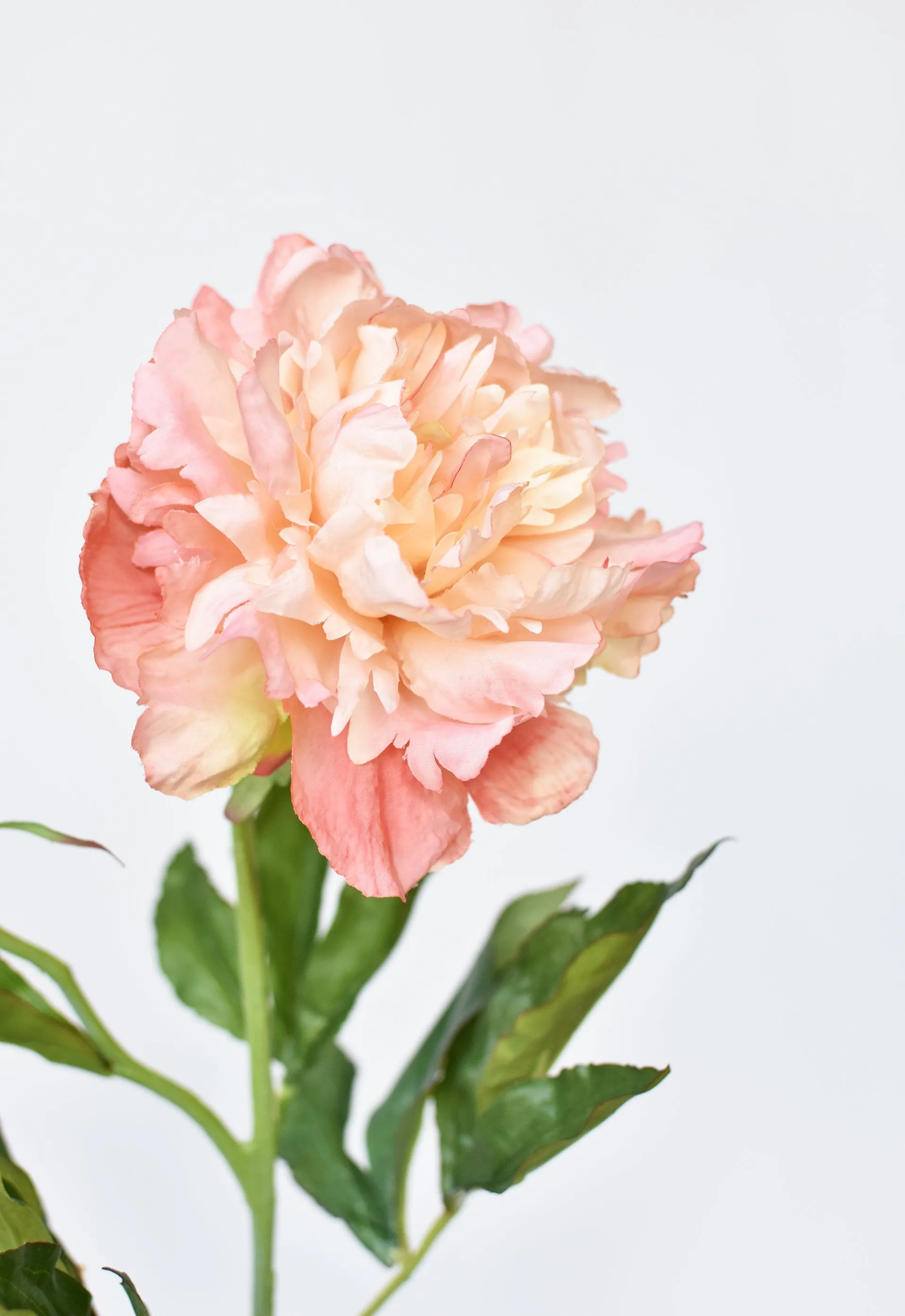 28" Faux Peach Peony Stem