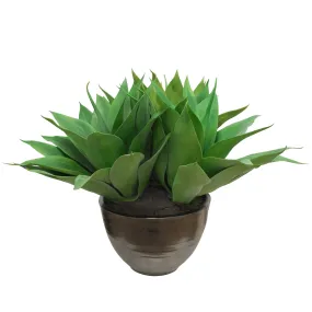 Aloe in Crete Bowl 22-inches tall