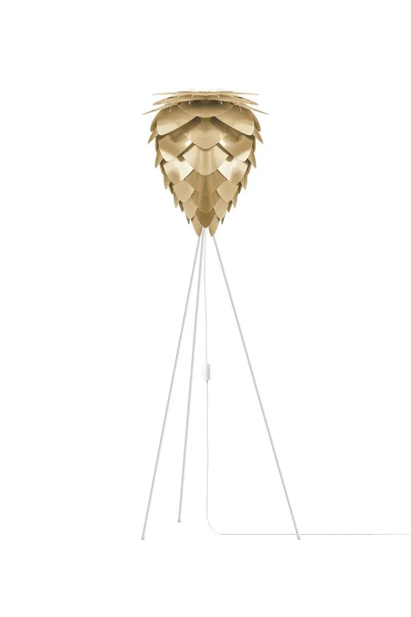 CONIA Brushed Brass Floor Lamps