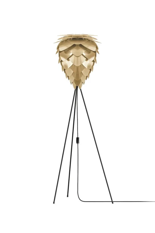 CONIA Brushed Brass Floor Lamps