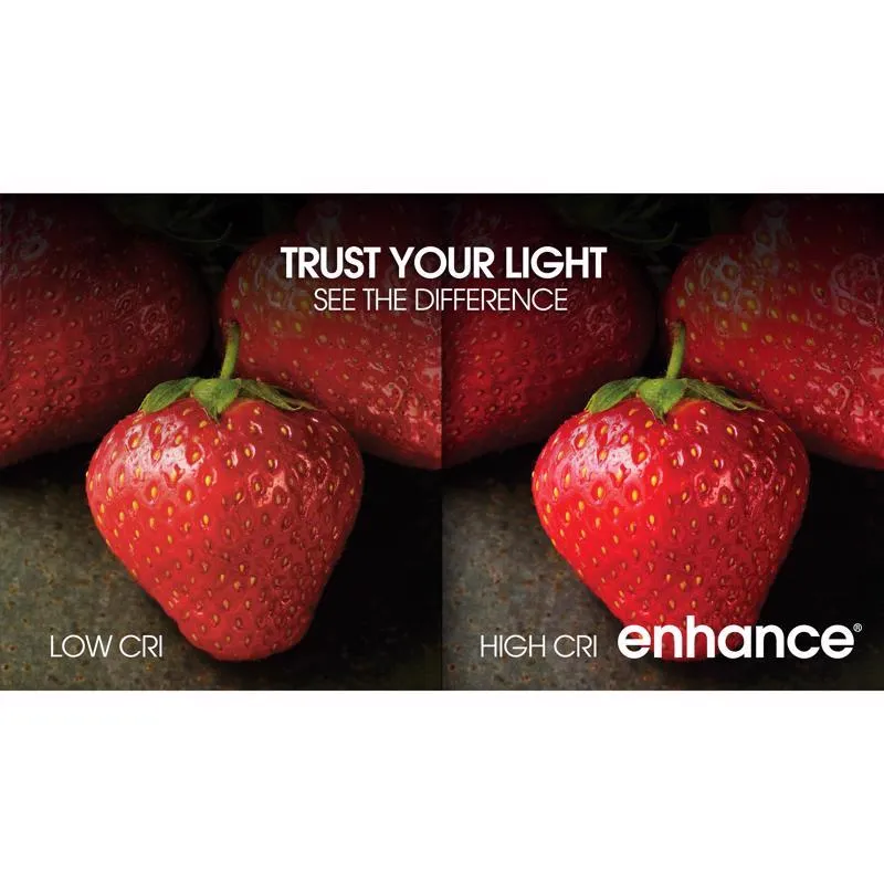 Feit Enhance A19 E26 (Medium) LED Bulb Daylight 60 Watt Equivalence 10 pk