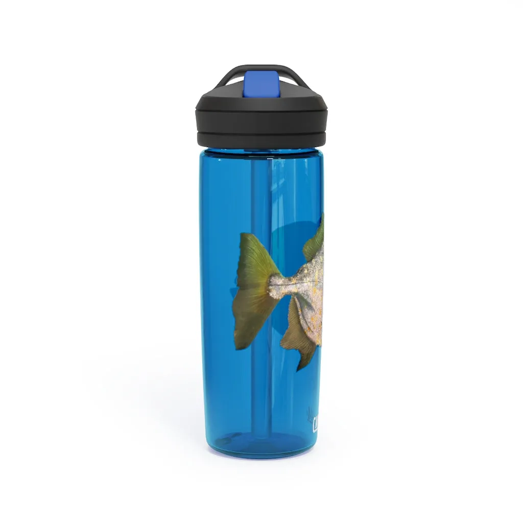 Fish with Specs CamelBak Eddy®  Water Bottle, 20oz / 25oz