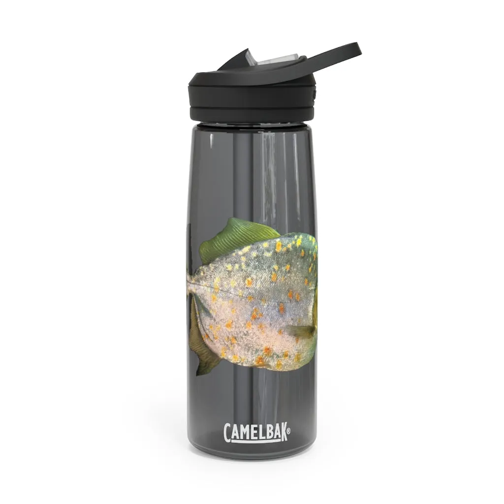 Fish with Specs CamelBak Eddy®  Water Bottle, 20oz / 25oz