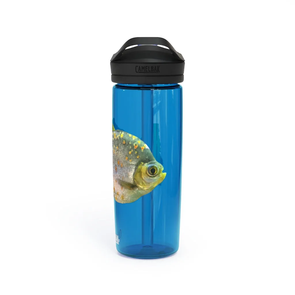 Fish with Specs CamelBak Eddy®  Water Bottle, 20oz / 25oz