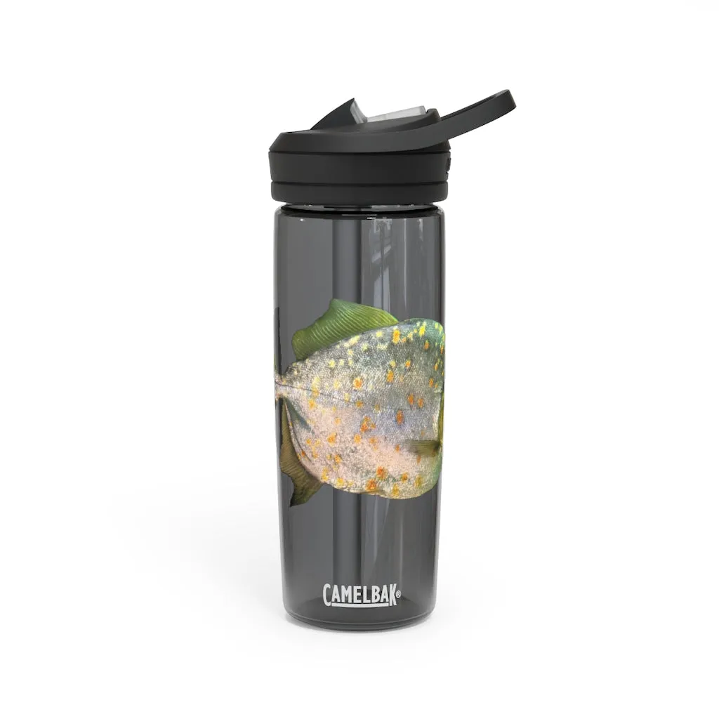 Fish with Specs CamelBak Eddy®  Water Bottle, 20oz / 25oz