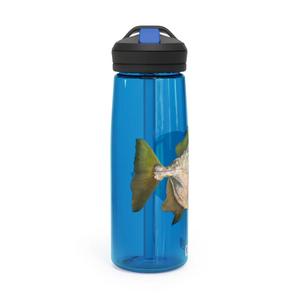 Fish with Specs CamelBak Eddy®  Water Bottle, 20oz / 25oz