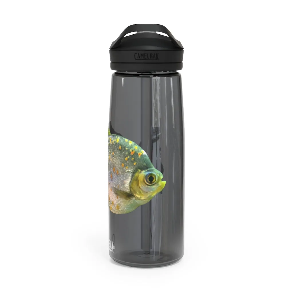 Fish with Specs CamelBak Eddy®  Water Bottle, 20oz / 25oz