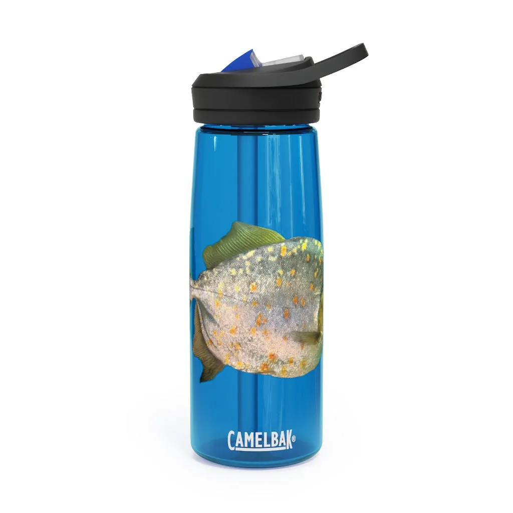 Fish with Specs CamelBak Eddy®  Water Bottle, 20oz / 25oz