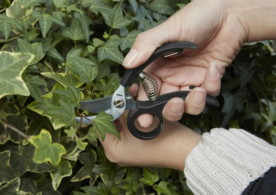 Garden Shears