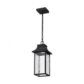 Nuvo 62-5996 Starfish Austen Collection 1-lt 8" LED Outdoor Hanging Light