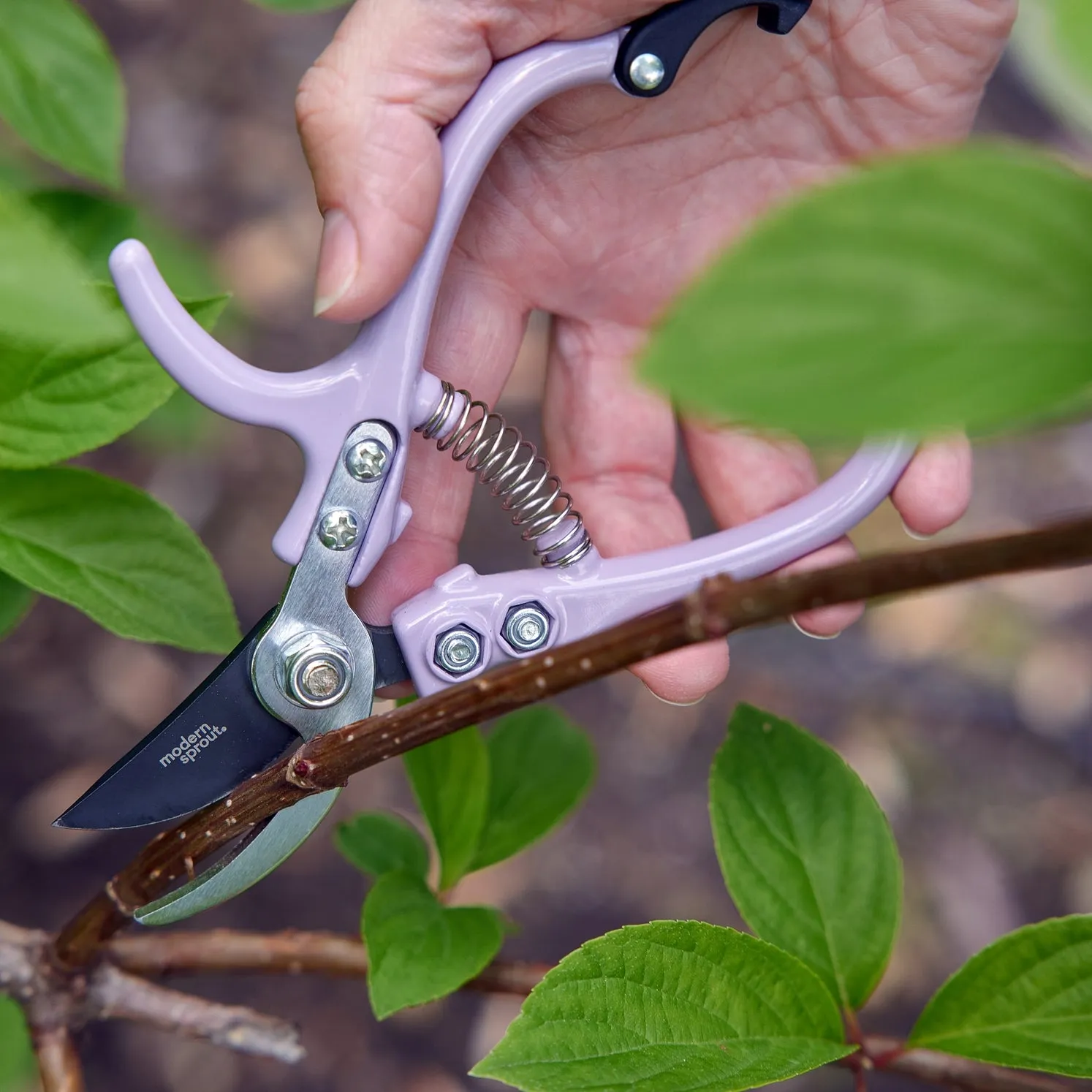 Pruning Shears