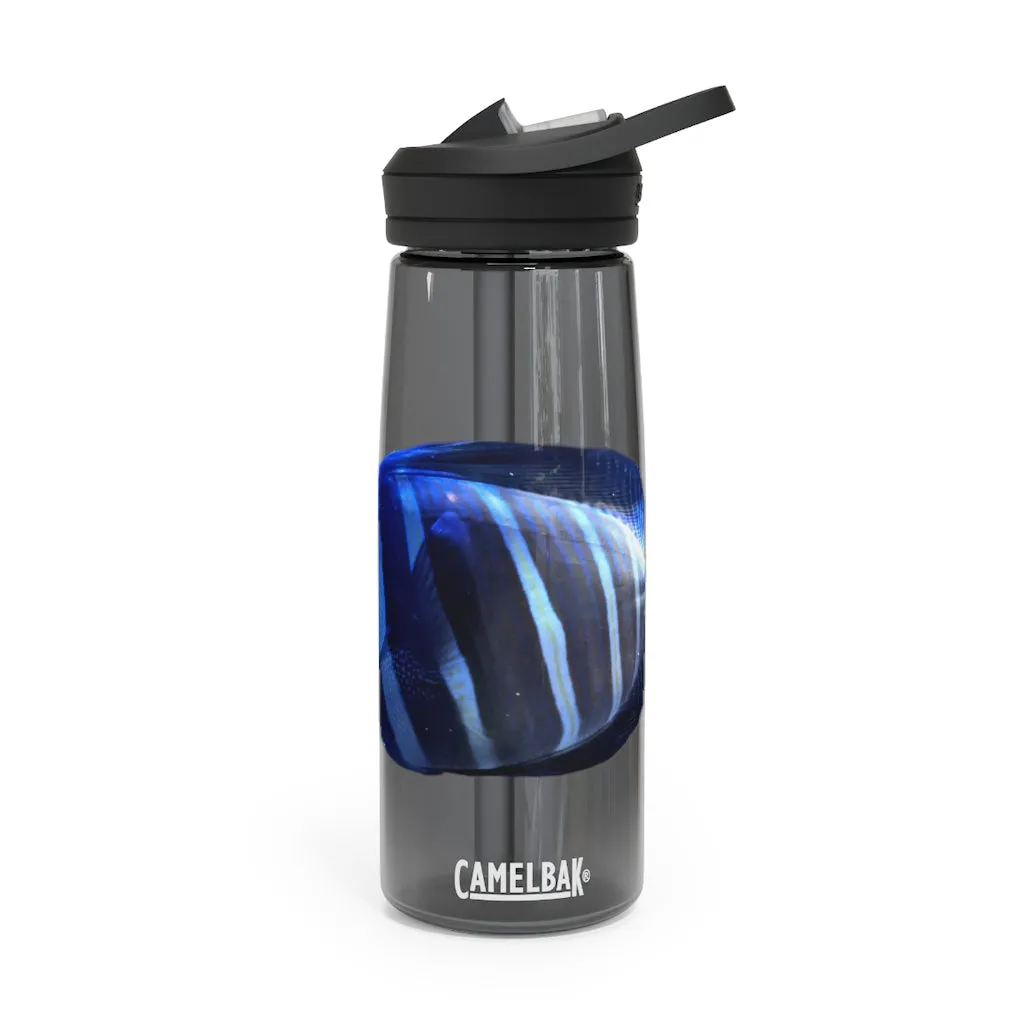 Striped Fish CamelBak Eddy®  Water Bottle, 20oz / 25oz