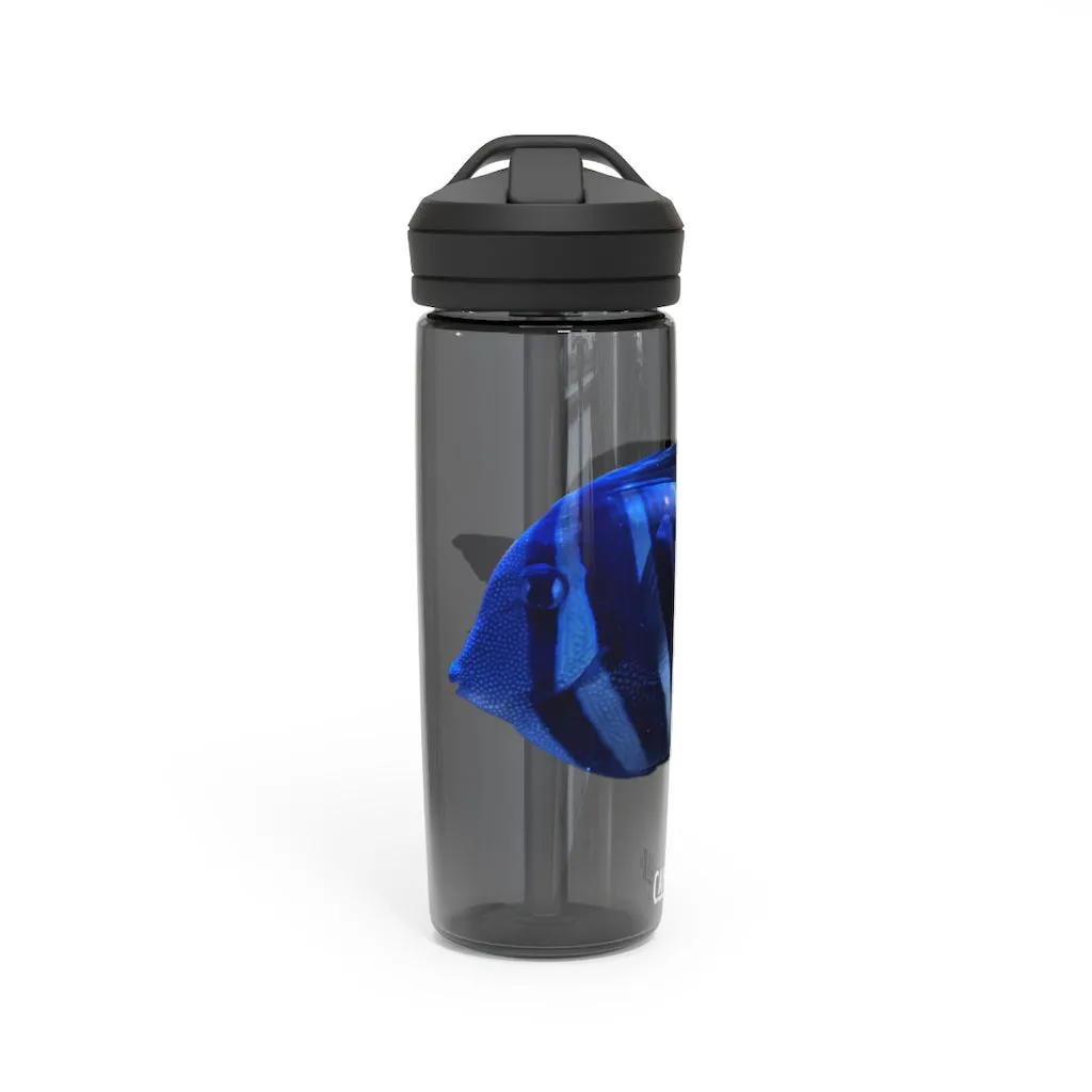 Striped Fish CamelBak Eddy®  Water Bottle, 20oz / 25oz